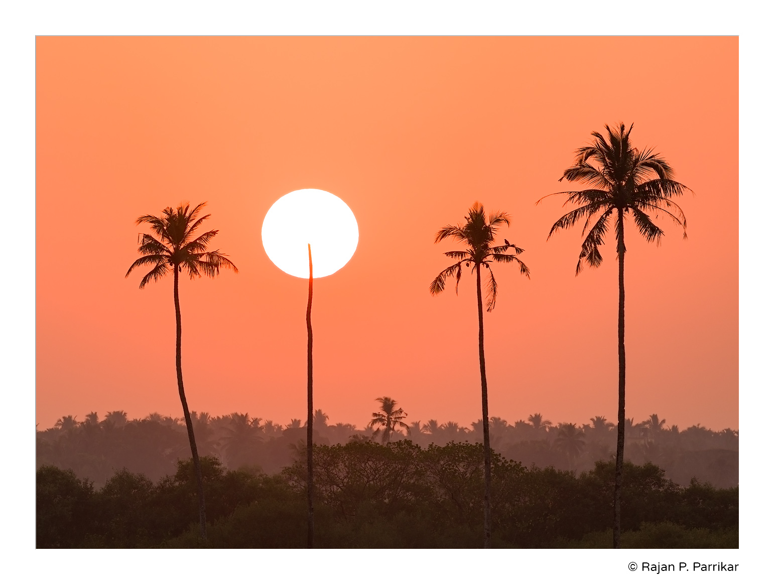 Calapur-Sunset-Goa