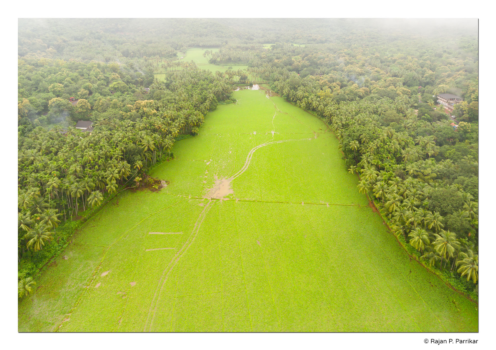 Canacona-Painguinim-Field-Aerial-Goa