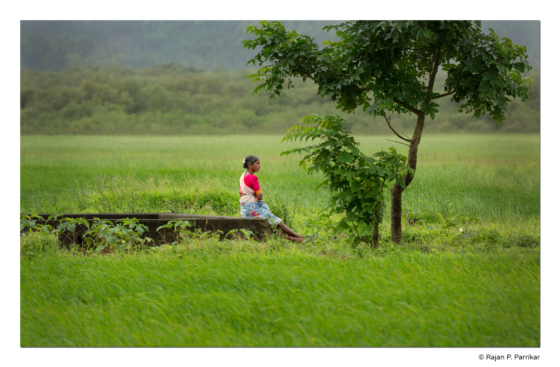 Divar-Woman-Field-Resting-Goa