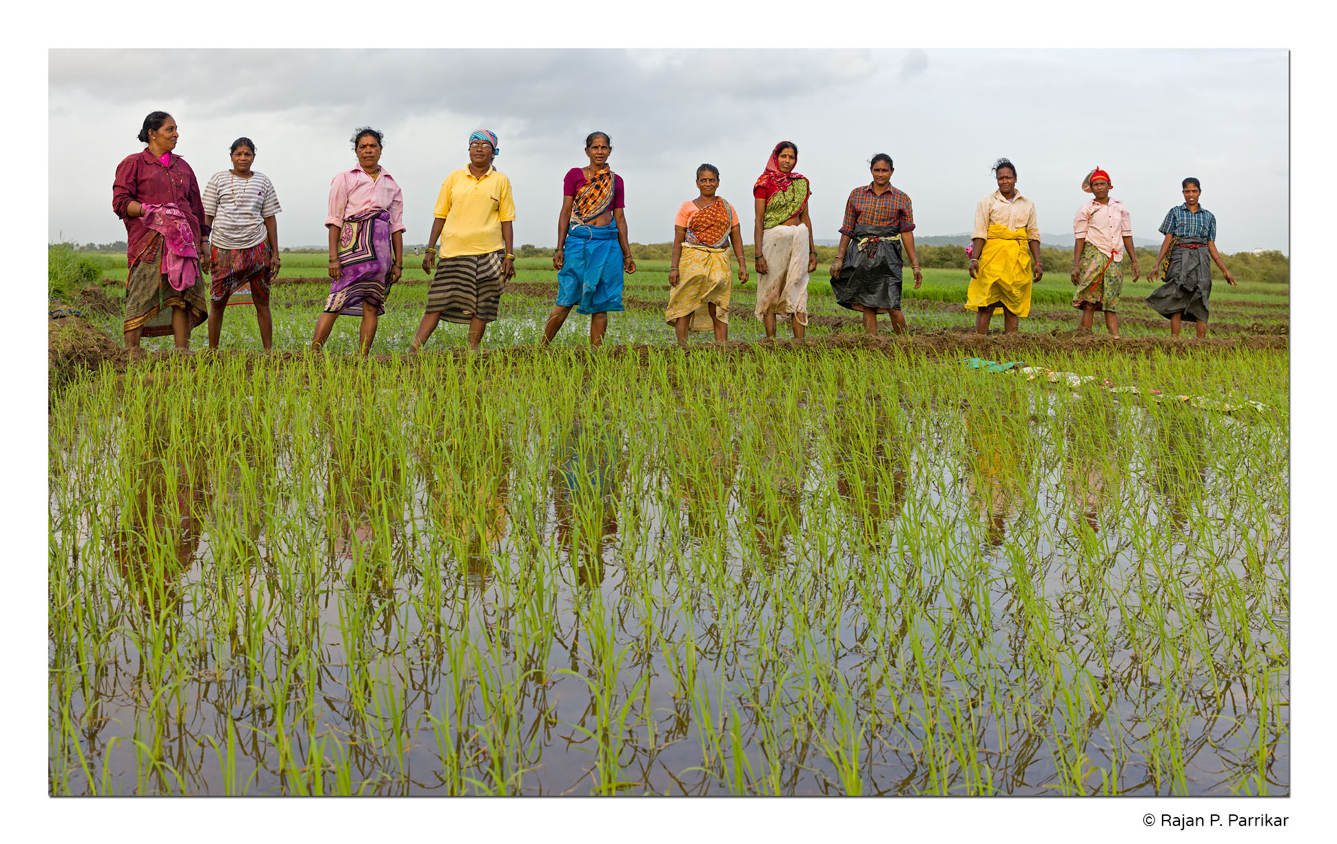 Divar-Women-Farmers-Group-Goa