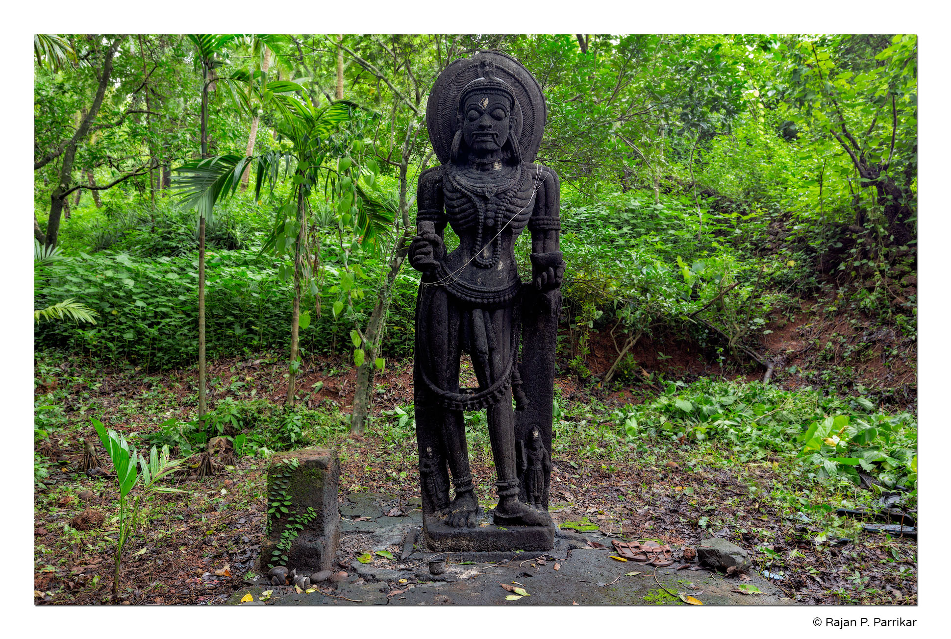 Loliem-Vetal-Forest-Goa