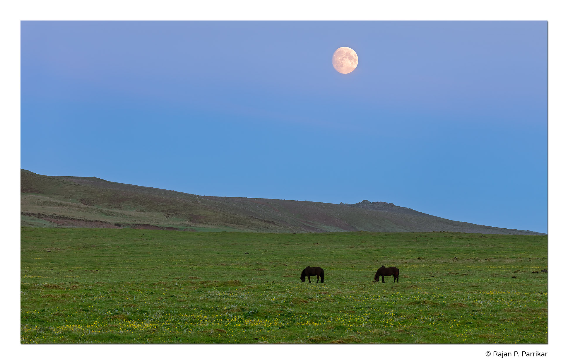 Reykjanes-Horses-Moon